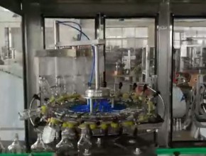 18頭全自動翻轉式沖瓶機，自動控瓶機